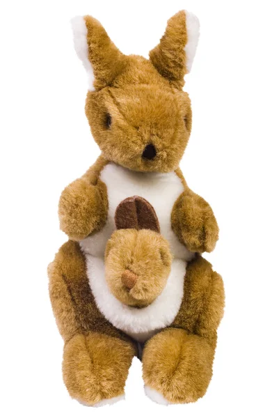 Stuffed kangaroo toys — Stock Photo, Image