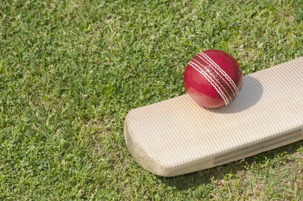 Cricketball auf einem Cricketschläger — Stockfoto