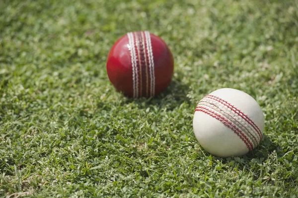 Two cricket balls on grass