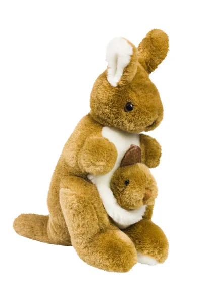 Stuffed kangaroo toys — Stock Photo, Image