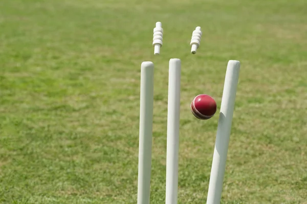 Pelota de cricket golpeando tocones — Foto de Stock