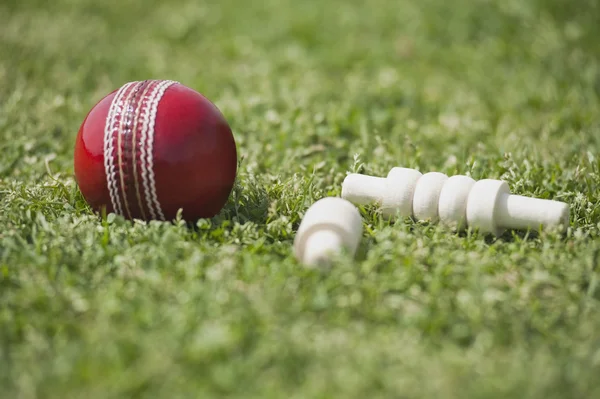 Крикетний м'яч з заставами — стокове фото