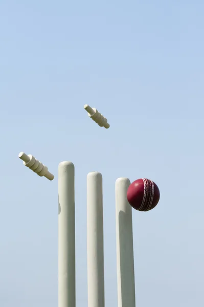Пни мяча для крикета — стоковое фото
