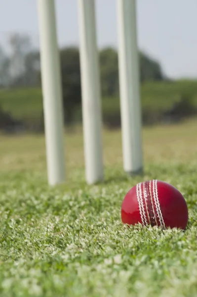 Крикет м'яч — стокове фото