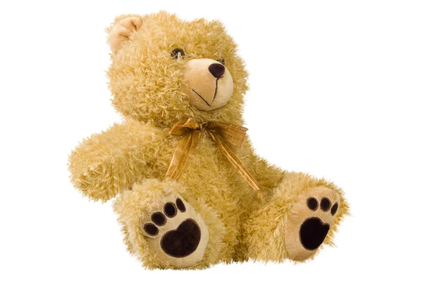 Teddy bear — Stockfoto