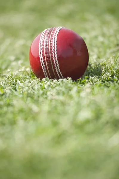 Kriket topu — Stok fotoğraf