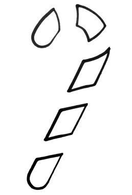 Anahat şeker kamışı