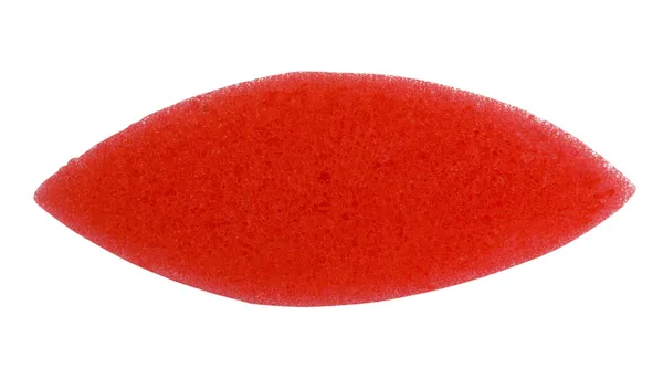 Oval shaped bath sponge — Stock Photo, Image