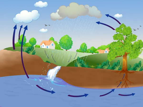 Water cycle — Stock Photo, Image