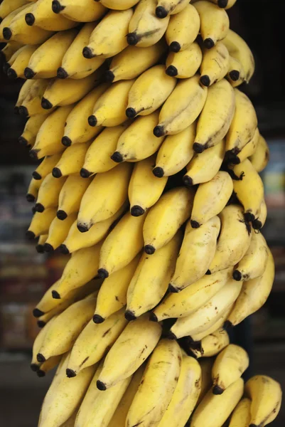 Bananenstrauß hängt an einem Marktstand — Stockfoto