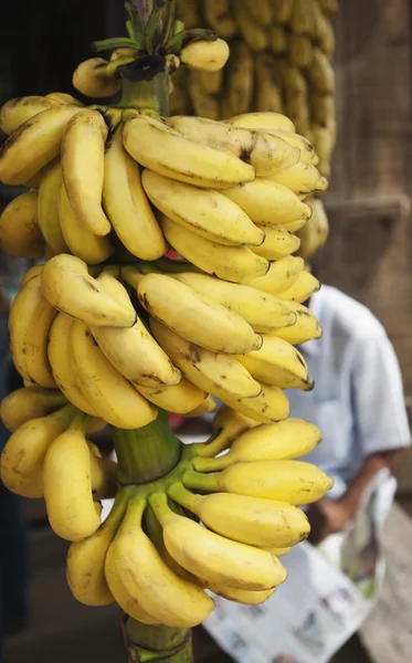 Bos van bananen opknoping op een marktkraam — Stockfoto