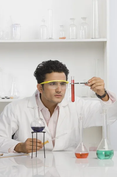 Scientist experimenting in a laboratory — Stock Photo, Image