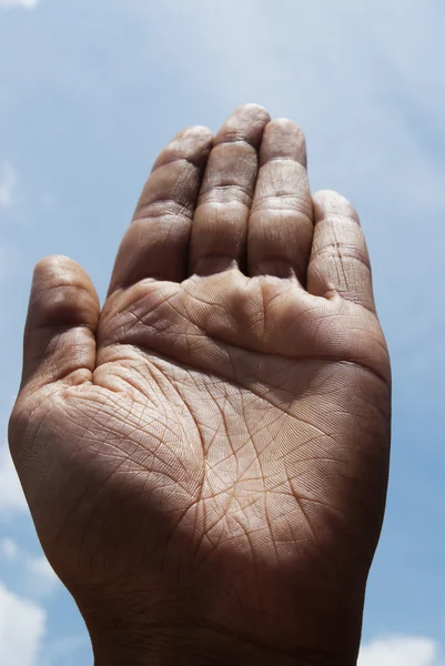 Palmera humana — Foto de Stock