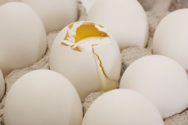 kırık bir karton diğer yumurta ile yumurta