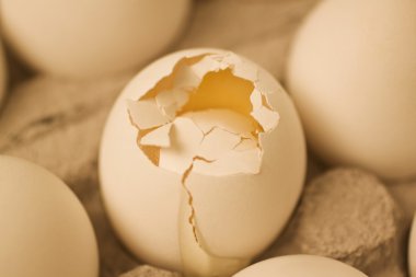 kırık bir karton diğer yumurta ile yumurta
