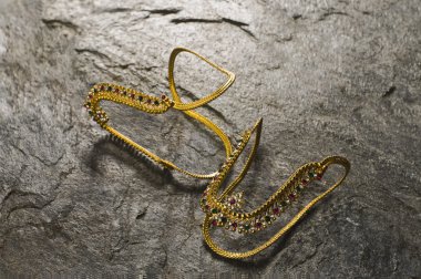 Altın pazıbentlerin çifti