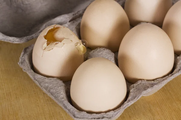 Broken egg in a carton with other eggs — Stock Photo, Image