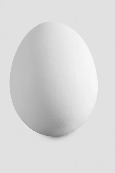 Weißes Ei — Stockfoto