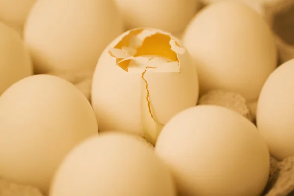 Broken egg in a carton with other eggs — Stock Photo, Image