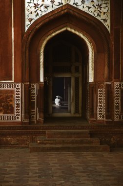 Entrance of a mosque, Taj Mahal clipart