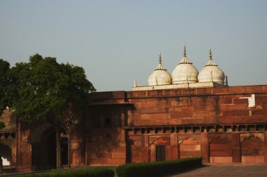 Agra Fort, Agra clipart