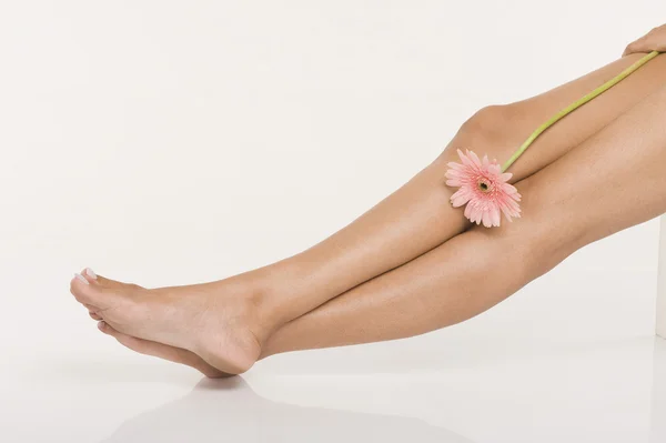 Nogi kobiety z stokrotka kwiat — Zdjęcie stockowe