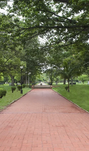 Fußweg in einem botanischen Garten — Stockfoto