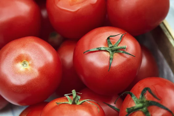 Tomates em uma banca de mercado — Fotografia de Stock