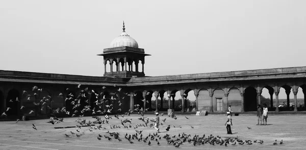 Pátio de uma mesquita, Jama Masjid — Fotografia de Stock