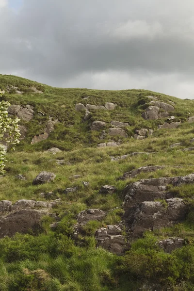 Vue en angle élevé d'un parc national — Photo