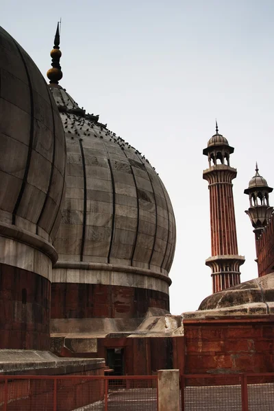 Cúpulas de uma mesquita, Jama Masjid — Fotografia de Stock