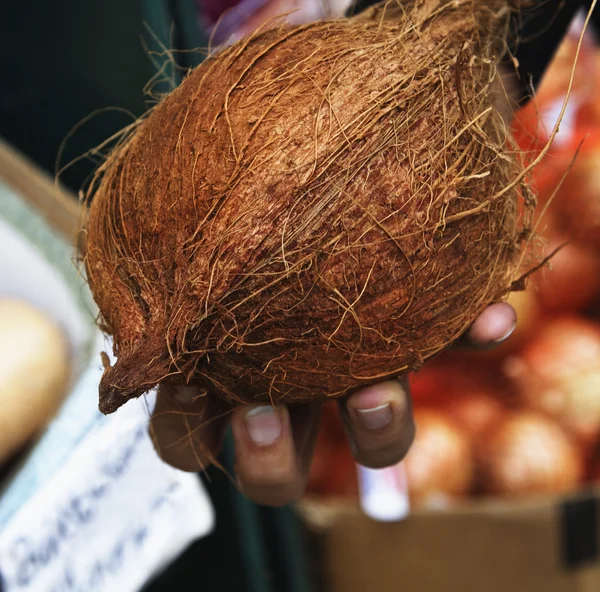 Mão de pessoa segurando um coco — Fotografia de Stock