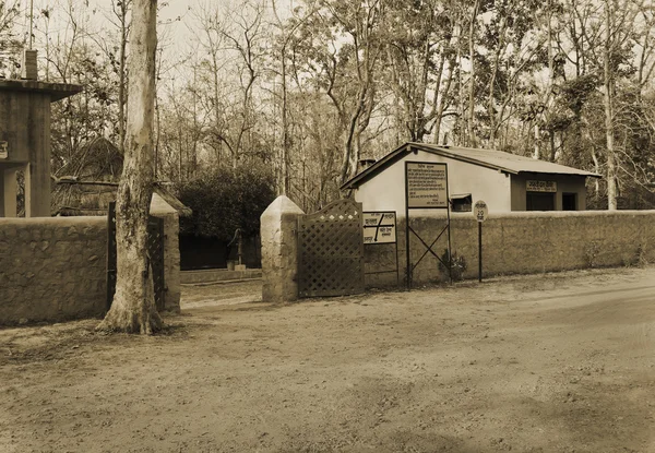 Vakantiehuis in een forest — Stockfoto