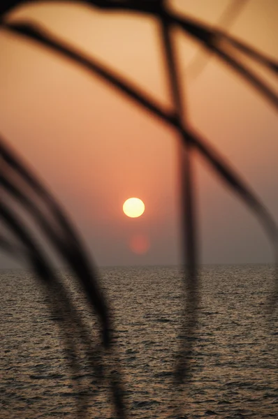 Pôr do sol sobre o mar visto através de folhas — Fotografia de Stock