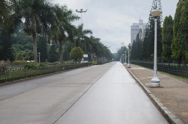 Árvores em ambos os lados de uma estrada na cidade — Fotografia de Stock