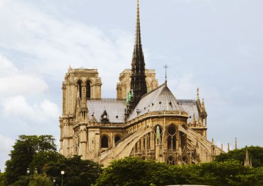 Notre dame de Paris
