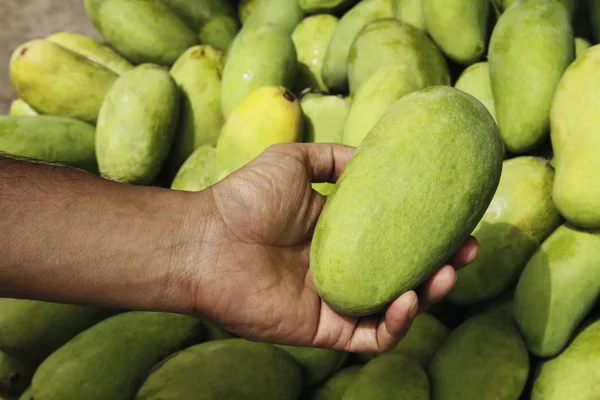 Man's hand met een mango — Stockfoto