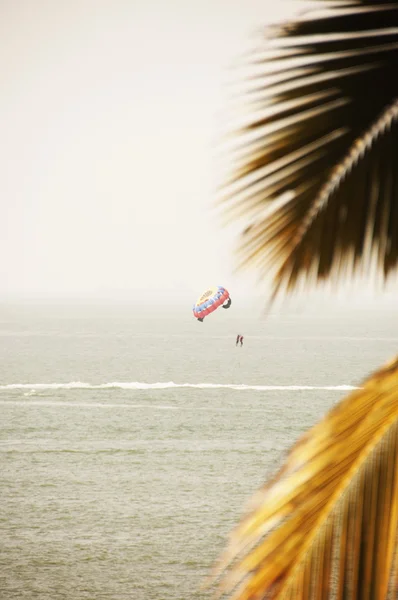 Person paragliding over the sea — Stock Photo, Image