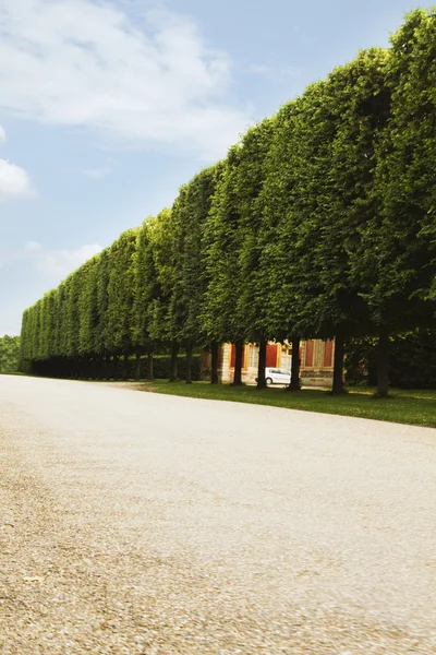 Versailles Şatosu — Stok fotoğraf