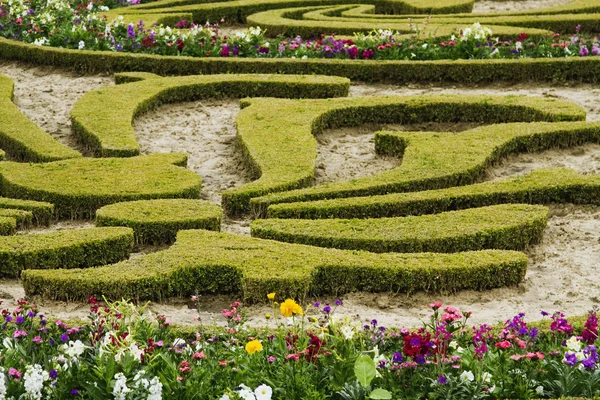 Formell trädgård, slottet i versailles — Stockfoto