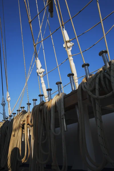 Nave taglierina — Foto Stock