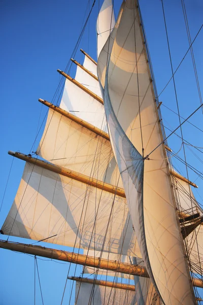 Vela de um navio clipper — Fotografia de Stock