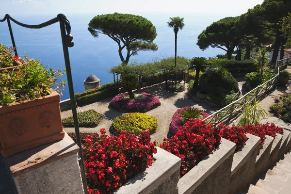 Vista di angolo alta di un giardino — Foto Stock