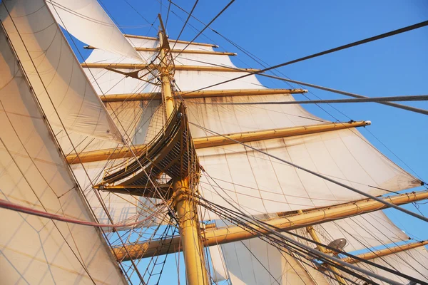 Vela de um navio clipper — Fotografia de Stock