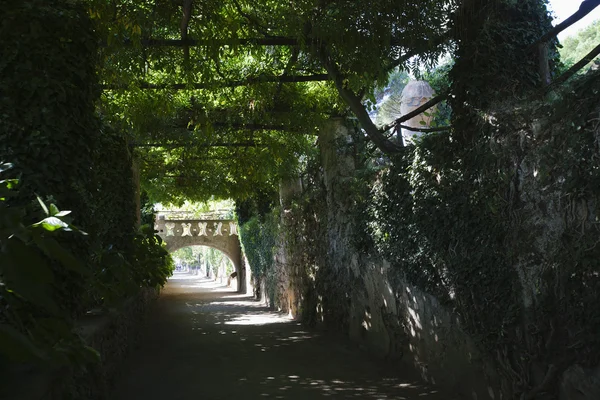 Walkway covered with plants — Stock Photo, Image