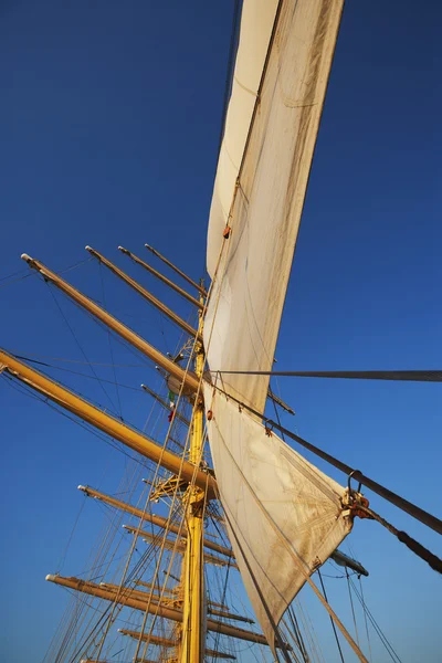 Nave taglierina — Foto Stock