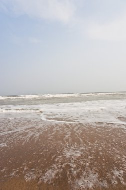 Sahilde sörf yapmak.