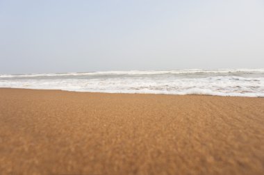 Sahilde sörf yapmak.