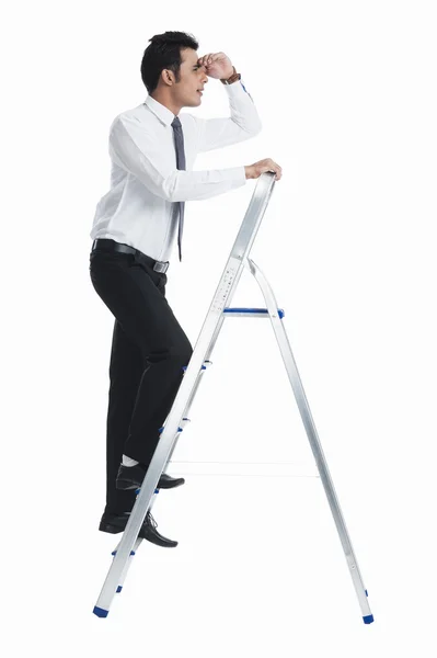 Businessman on a ladder — Stock Photo, Image