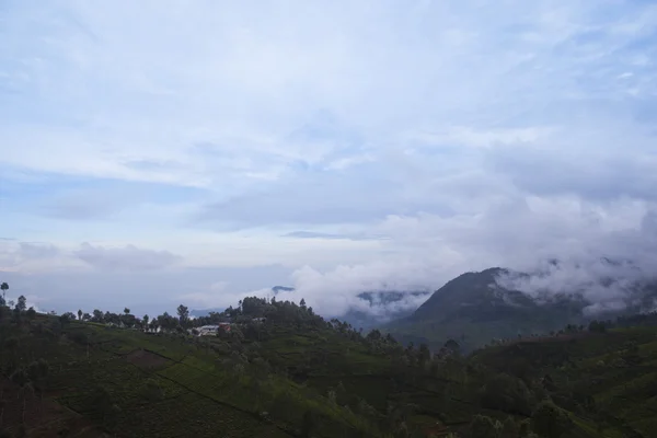 Valley under the cloudy sky — Stock Photo, Image